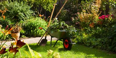 Devis Création de jardin et d'espaces verts